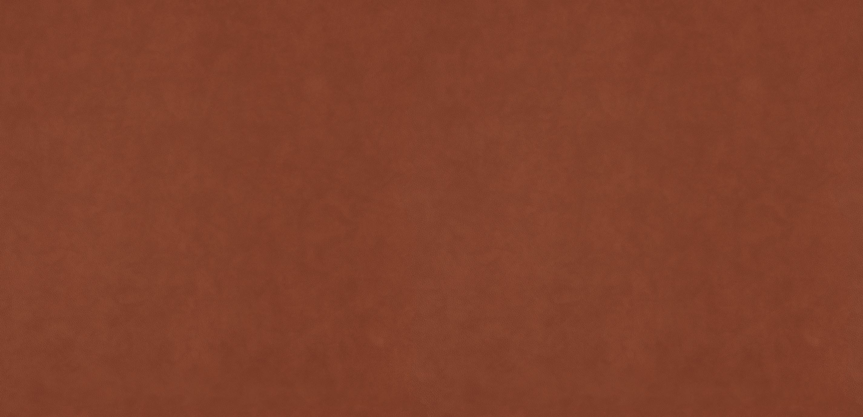 mobile primary image