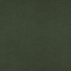 Ramona Spruce (38325): lustrous velvet solid swatch Dani Modern Dining Chair