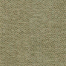 Helios Fern (60325): dimensional chenille coordinate swatch Helios Fern Fabric