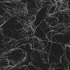 Black/Silver swatch Vance Wallpaper