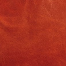 Sienna swatch Leather Square Pillow