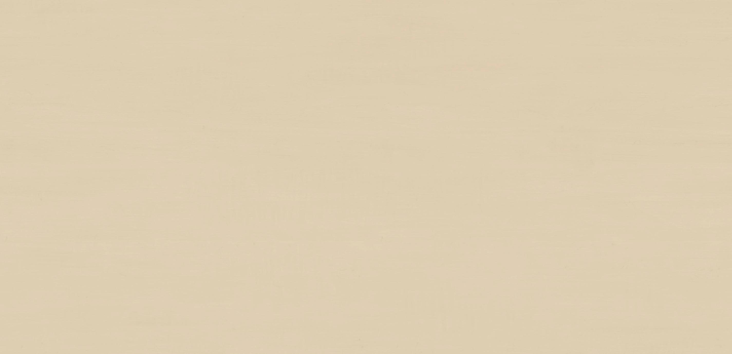 mobile primary image