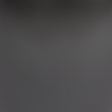 Black swatch Dracaena Tree