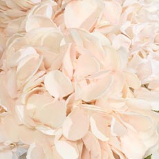 Natural swatch Hydrangea Bouquet in Cut-Glass Vase