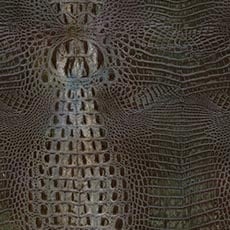 Bayou Jewel (L7086) Leather: textured embossed leather swatch Bayou Leather