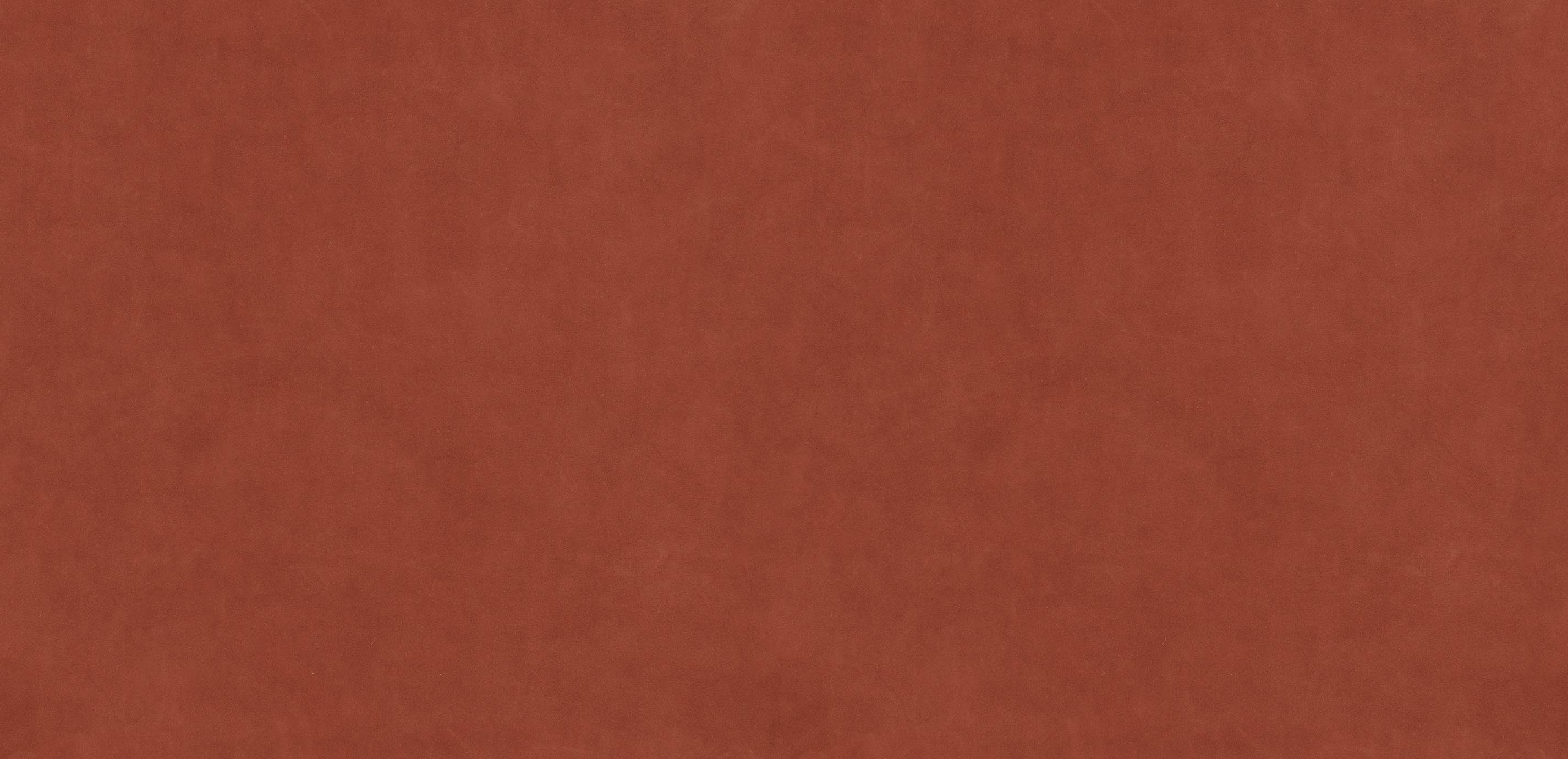 mobile primary image
