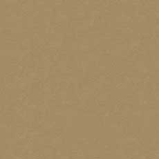 Sonora Bone (L9436) Leather, highly lustrous semi-aniline two-tone leather swatch Sonora Leather