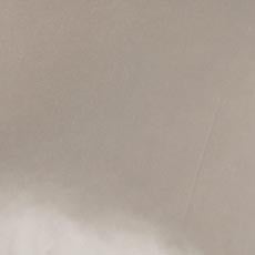 Taupe swatch Salena Solid Lumbar Pillow