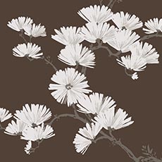 Chocolate swatch In Bloom Wallpaper