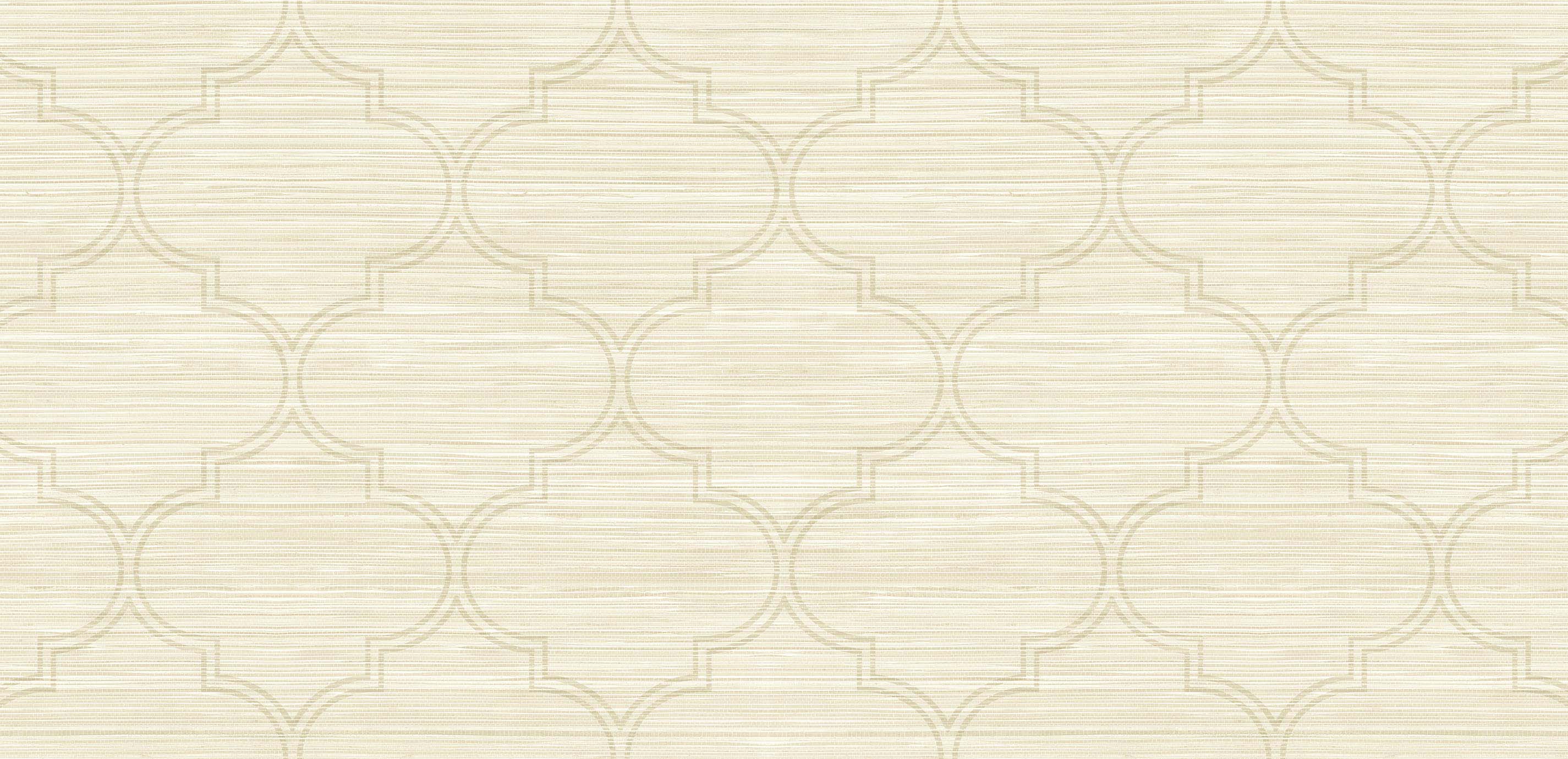 mobile primary image