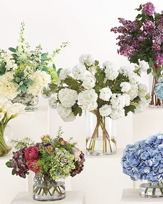 FLEURS & ARBRES