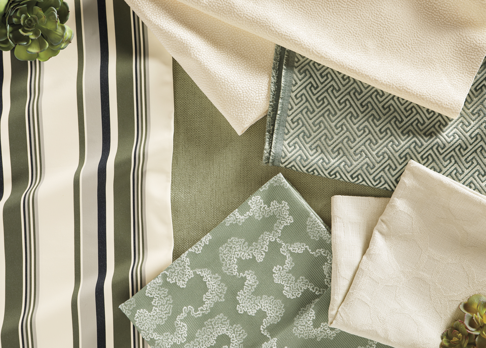 Never Change Your Stripes Main Image